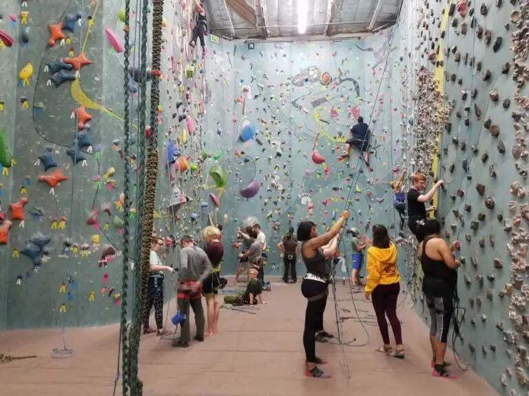 Indoor Climbing Essentials (For Gumbies and Dirtbags Alike) Scoutorama