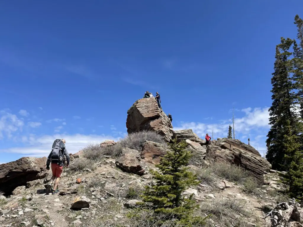 Cedar Breaks baby carrier