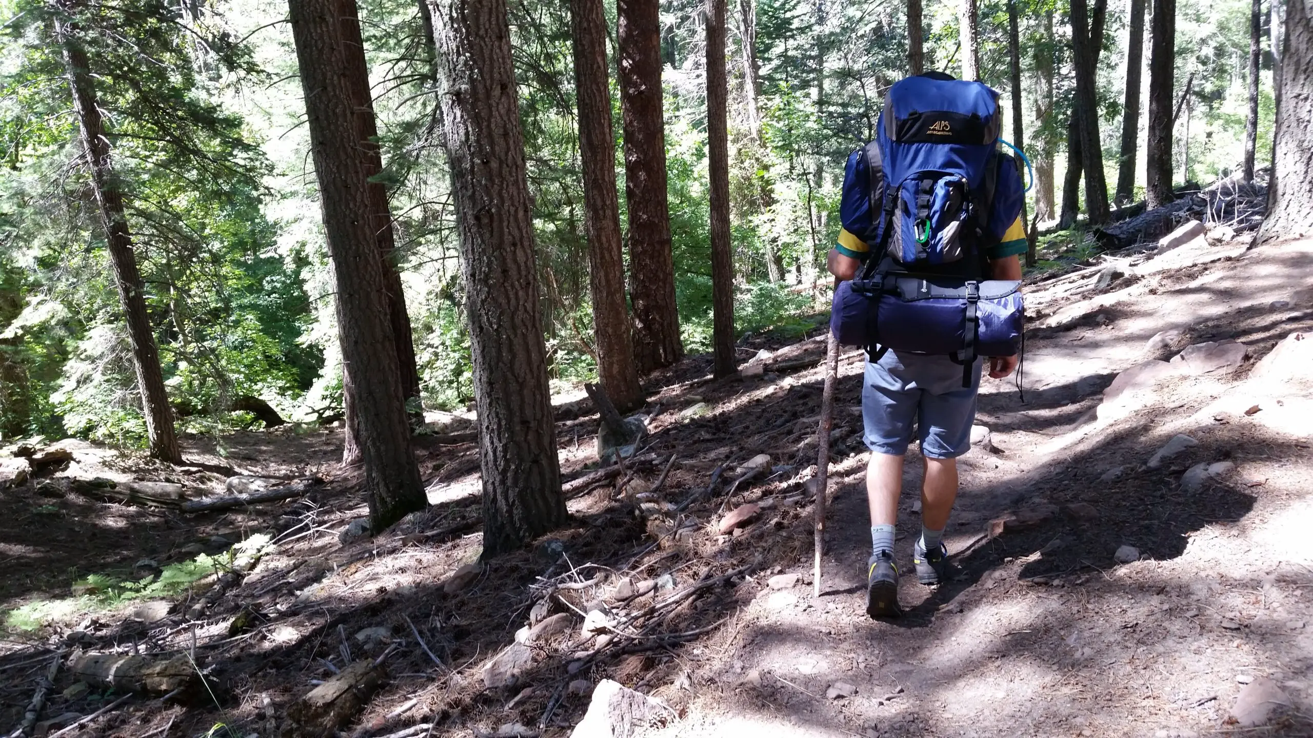 Backpacker on Trail