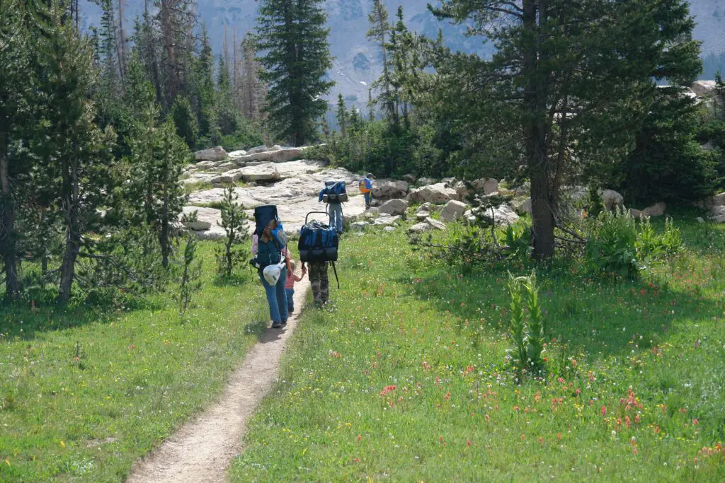 Backpacking through a Meadow