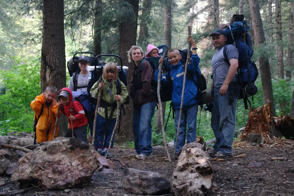 Why do Hikers use Walking Sticks? (And When Should You?) Scoutorama