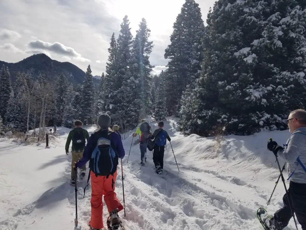 Snowshoeing trekking poles